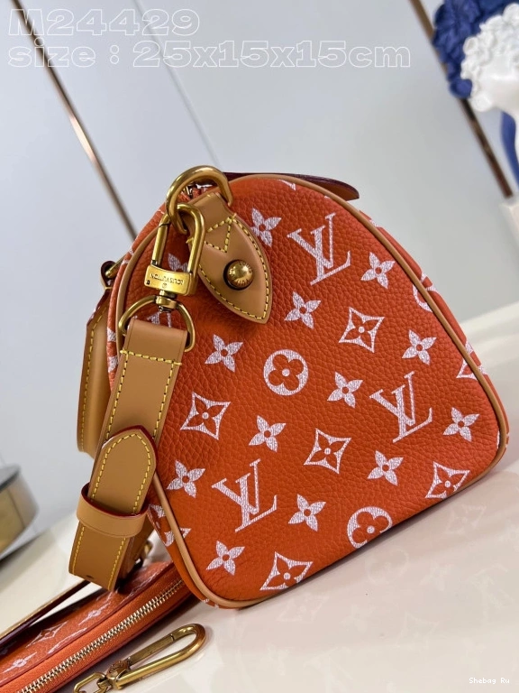 Louis Vuitton SPEEDY 25 0717